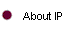 About IP